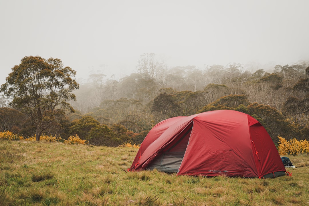 Camping Tent Accessories You Didn’t Know You Needed Camping Tent Accessories You Didn’t Know You Needed